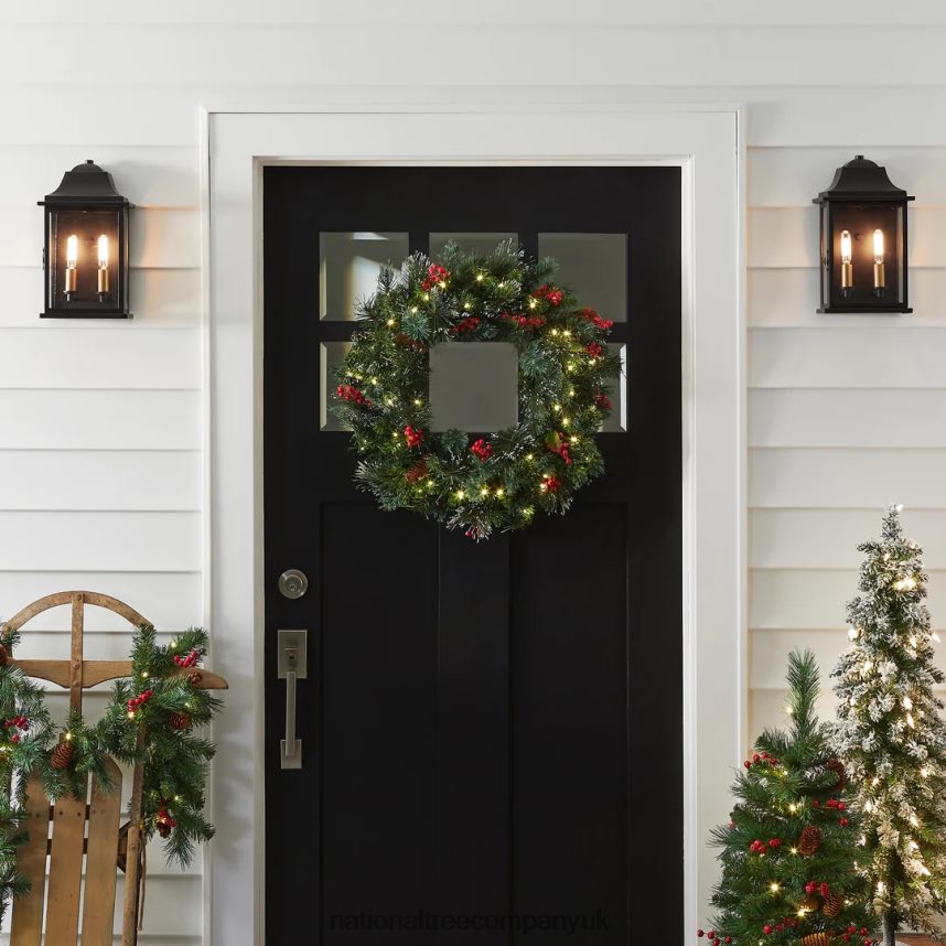 Greenery | National Tree Company Pre-Lit Artificial Christmas Wreath Green Wintry Pine White Lights Decorated with Pine Cones Berry Clusters Frosted Branches Christmas Collection 24 Inches F2L